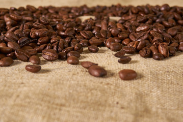 scattered coffee bean