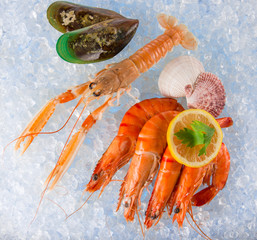 Fresh seafood on crushed ice.