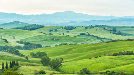 Fototapeta na wymiar Landscape of Tuscany, hills and meadows, Toscana - Italy
