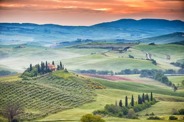 Foto op Canvas Landscape of Tuscany, hills and meadows, Toscana - Italy © Lukas Gojda