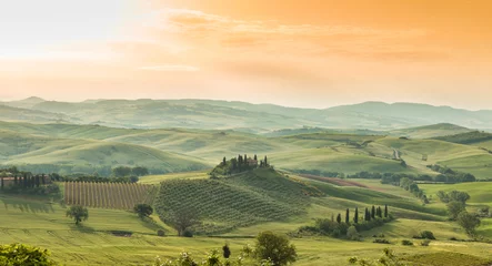Foto op Canvas Landschap van Toscane, heuvels en weiden, Toscane - Italië © Lukas Gojda