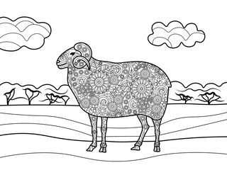 Sheep coloring book for adults vector