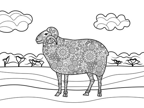 Sheep Coloring Book For Adults Vector