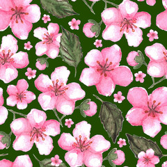 Fototapeta na wymiar Watercolor pink cherry sakura seamless pattern texture background