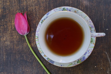 Tea cup, tulip flower, on wooden background