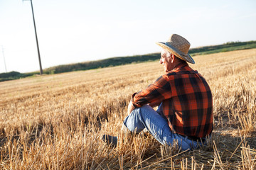 Senior farmer sitting in a wheat field after harvest and looks into the distance
