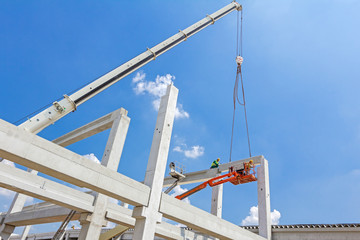 Mobile crane is carry concrete joist to assembly huge hall.