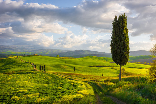 Tuscany in Spring