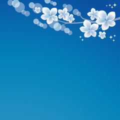 Flowers shine, bokeh background. Sakura blossoms. Cherry blossom branch on Blue. Vector