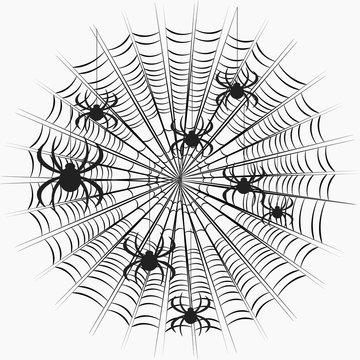 black spiders on a web pattern on a white background. 
