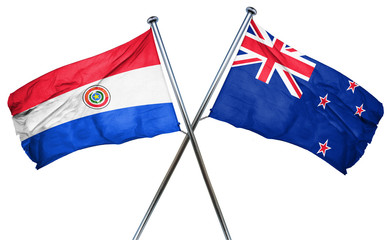 Paraguay flag  combined with new zealand flag
