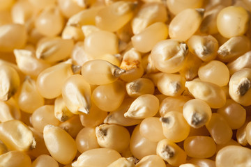 Raw Organic White Popcorn Kernals