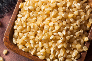 Raw Organic White Popcorn Kernals