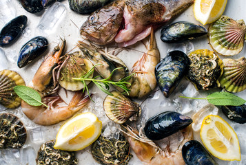 Frische Meeresfrüchte mit Kräutern und Zitrone auf Eis. Garnelen, Fisch, Miesmuscheln, Jakobsmuscheln über Stahlblech