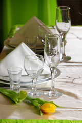 Decoration of the holiday table yellow tulips./Decoration of the holiday table yellow tulips.