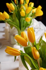 Decoration of the holiday table yellow tulips./Decoration of the holiday table yellow tulips.