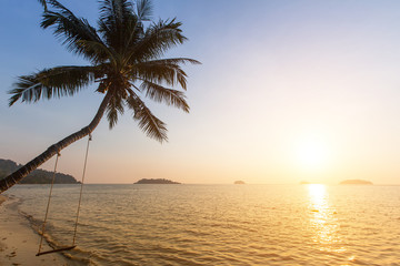 Fototapeta na wymiar Palm tree on a tropical seaside during amazing sunset.
