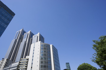新宿高層ビル街快晴　青空　緑　春　パークタワー前　コピースペース