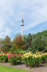 Obraz premium telecommunication tower