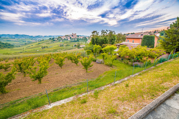 cultivated fields dominated by Castle