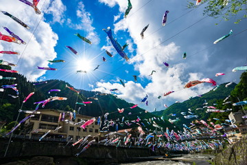 こいのぼり　杖立温泉