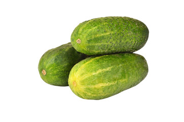 Green cucumber gherkin