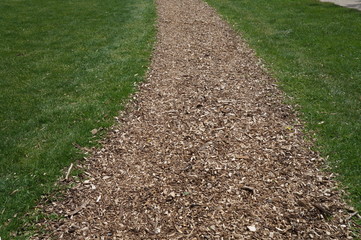 Garten Pfad