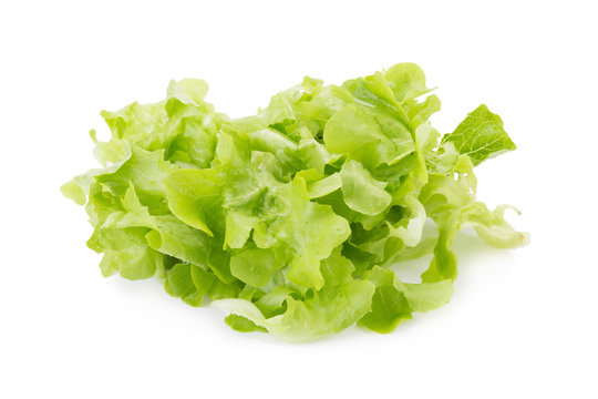 Chopped oakleaf lettuce on White Background.