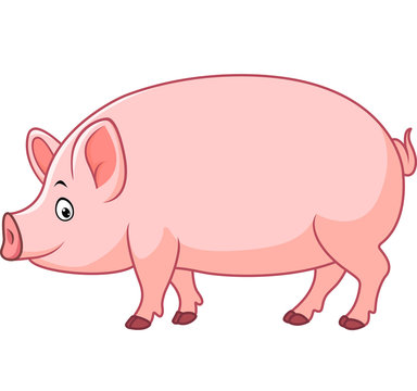 Cartoon happy pig