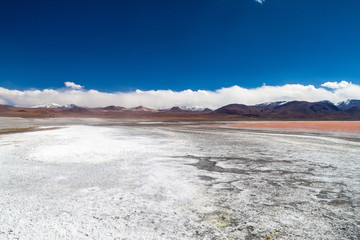 Coast of Laguna Colorada lake on bolivian Altiplano
