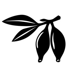 Honeysuckle berries silhouette