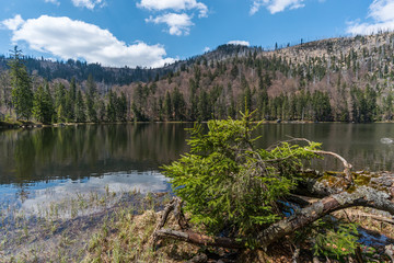 Grosser Rachel und Rachelsee