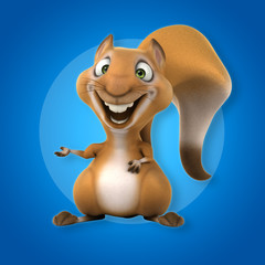 Fun squirrel