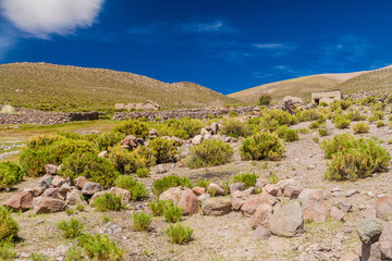 Fototapeta na wymiar Village with adobe houses on bolivian Altiplano