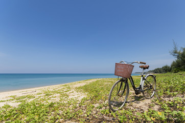 Fototapeta premium Bike park by the sea in the beautiful sky .