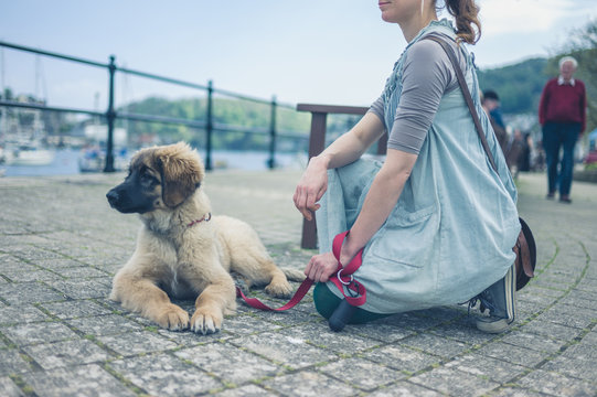 Yyoung woman sitting in street with her puppy