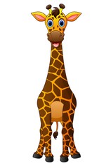 Fototapeta premium Cute giraffe cartoon