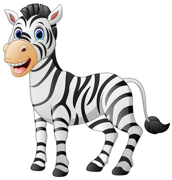 Cartoon cute zebra