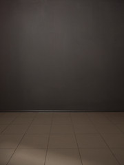 Grey-coloured background in studio. Wall with rosettes. Studio shot.