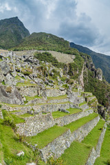 Fototapeta na wymiar Former agricultural terraces at Machu Picchu ruins, Peru