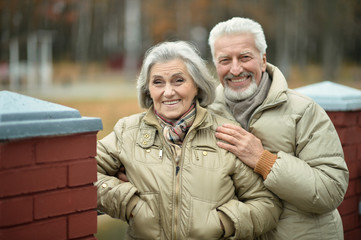 Senior couple in autumn park