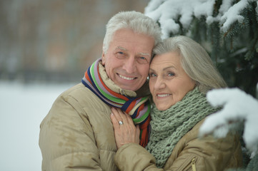 senior couple at winter outdoors