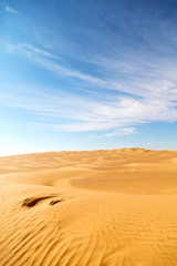 Fototapeta na wymiar in oman old and outdoor sand dune