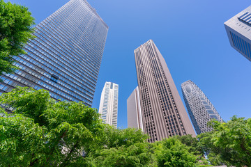 Obraz premium 東京 西新宿 高層ビル 新緑