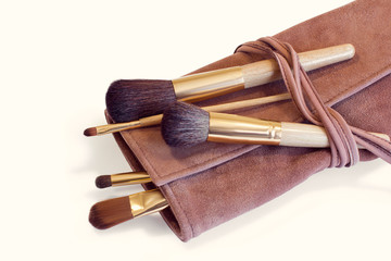 Makeup Brushes in a leather cover