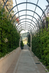 Obraz premium green arcs made of plants above pathway