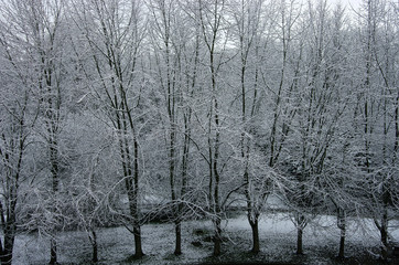 Textures d’hiver