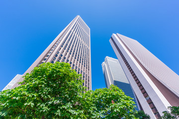 東京　西新宿　高層ビル　新緑