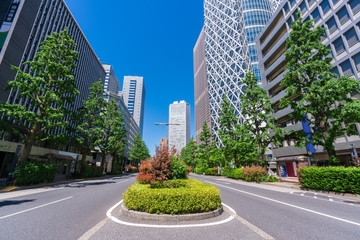 東京　西新宿　高層ビル　新緑 © Route16
