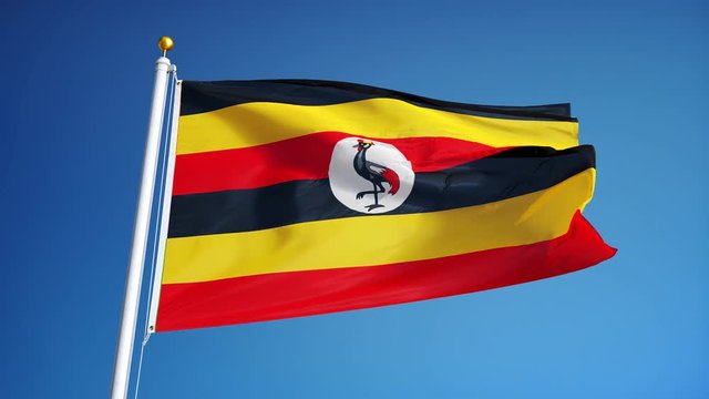 Uganda flag waving in slow motion against clean blue sky, seamlessly looped, close up, isolated on alpha channel with black and white luminance matte, perfect for film, news, digital composition